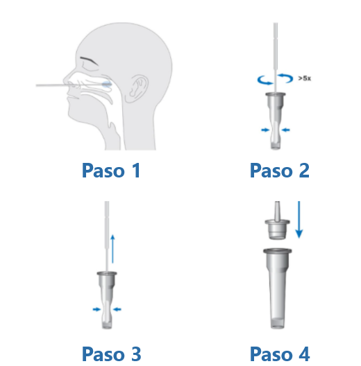 Dibujo con los pasos de la prueba rápida de Antígeno SARS-CoV-2